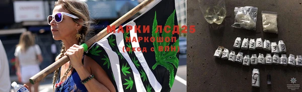 прущие грибы Аркадак