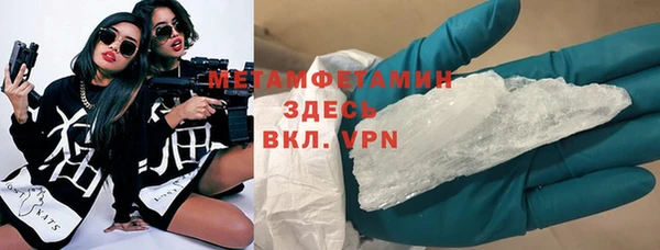 прущие грибы Аркадак