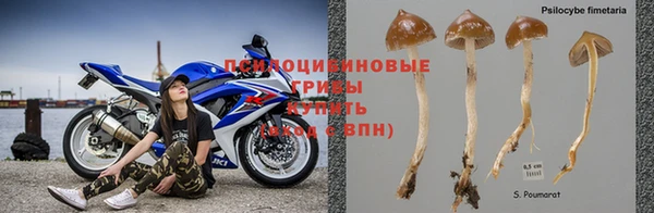 альфа пвп Армянск