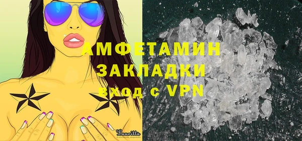 прущие грибы Аркадак