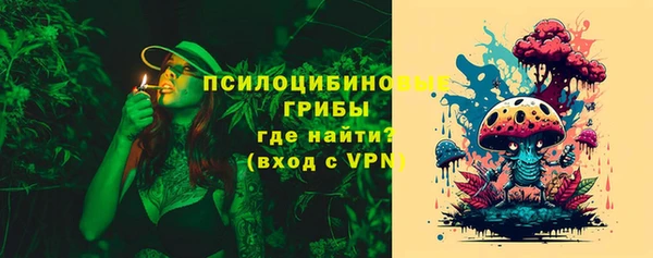 прущие грибы Аркадак