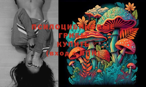 крисы Инсар