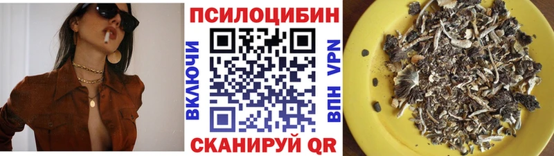 купить наркотики цена  Беломорск  Галлюциногенные грибы GOLDEN TEACHER 